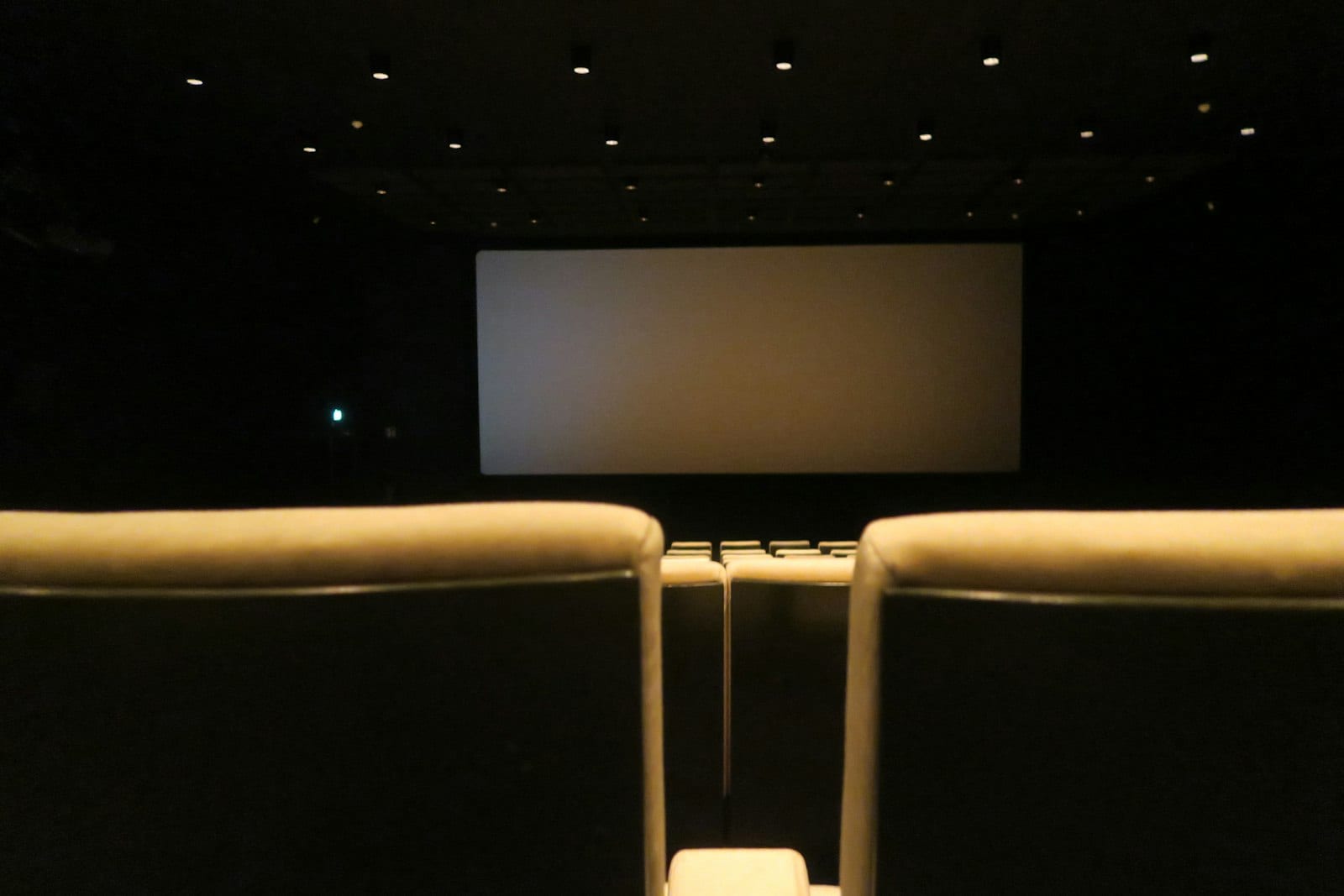 【海外の反応】映画館に2700億円投資しリクライニング・バー導入→観客の本音は「スマホ禁止と値下げ」